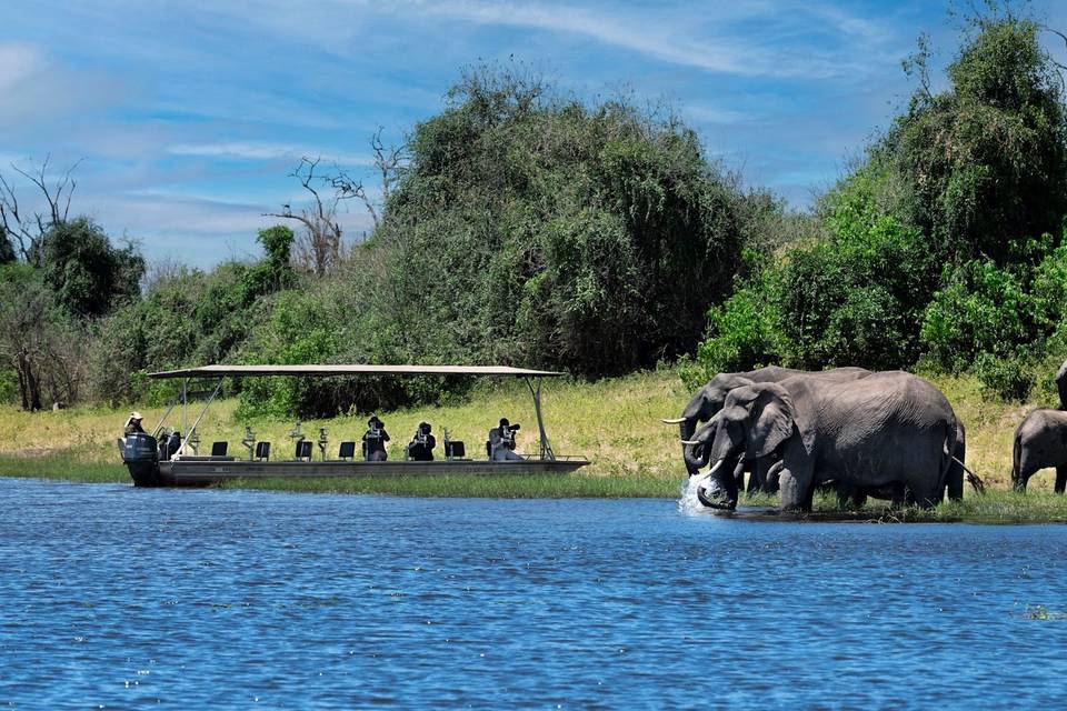 Parco Chobe, Botswana