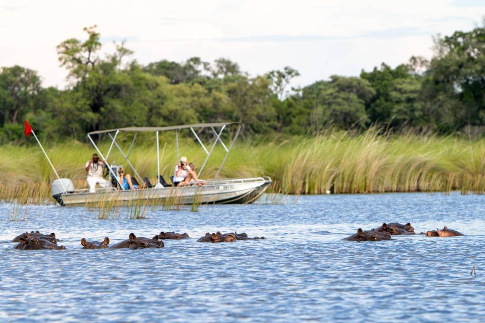 Moremi, Botswana
