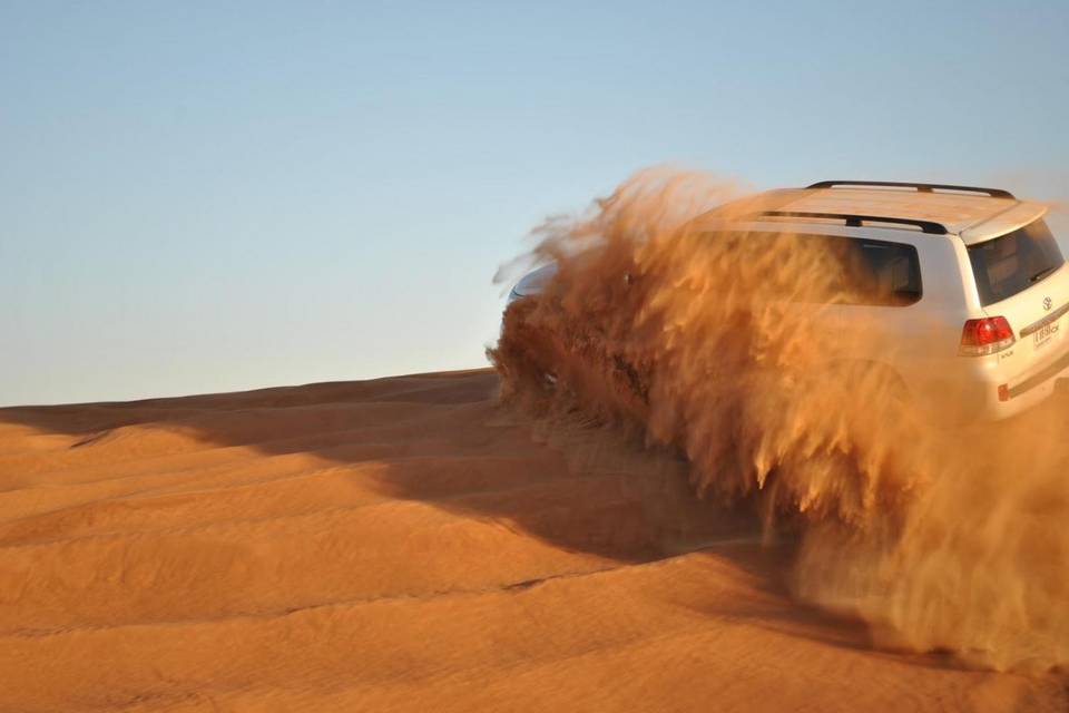 Desert Safari, Dubai