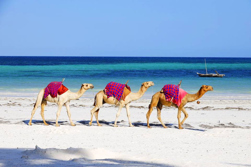 Diani Beach, Kenya