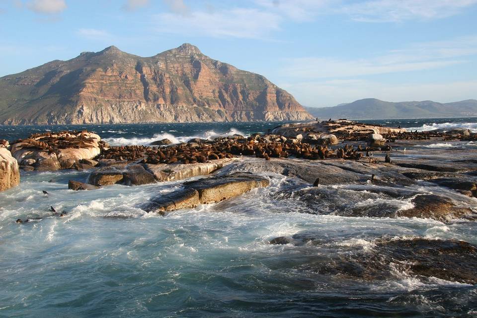 Seal Island, Sudafrica