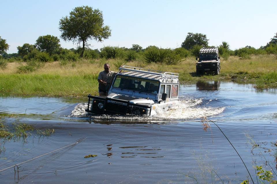 Avventura in Botswana