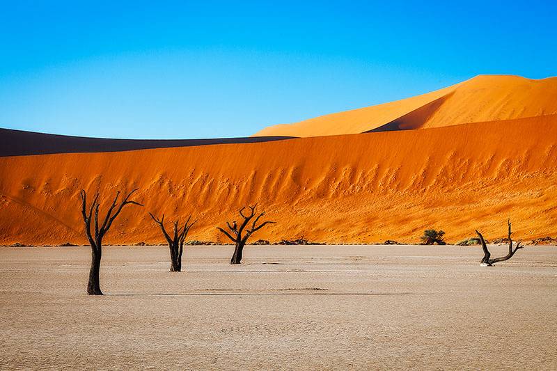 I deserti della Namibia