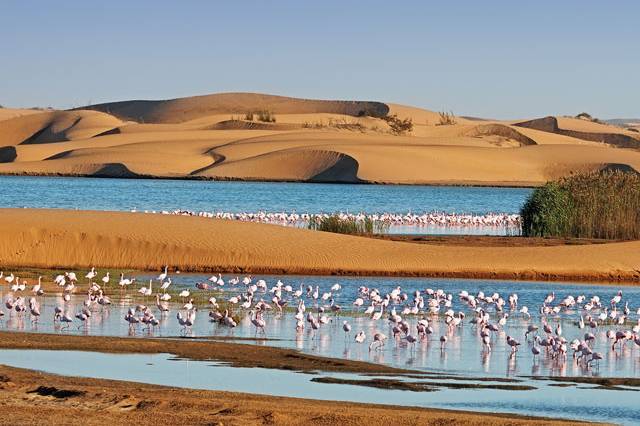 Orizzonti Namibiani
