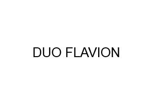 Duo Flavion logo