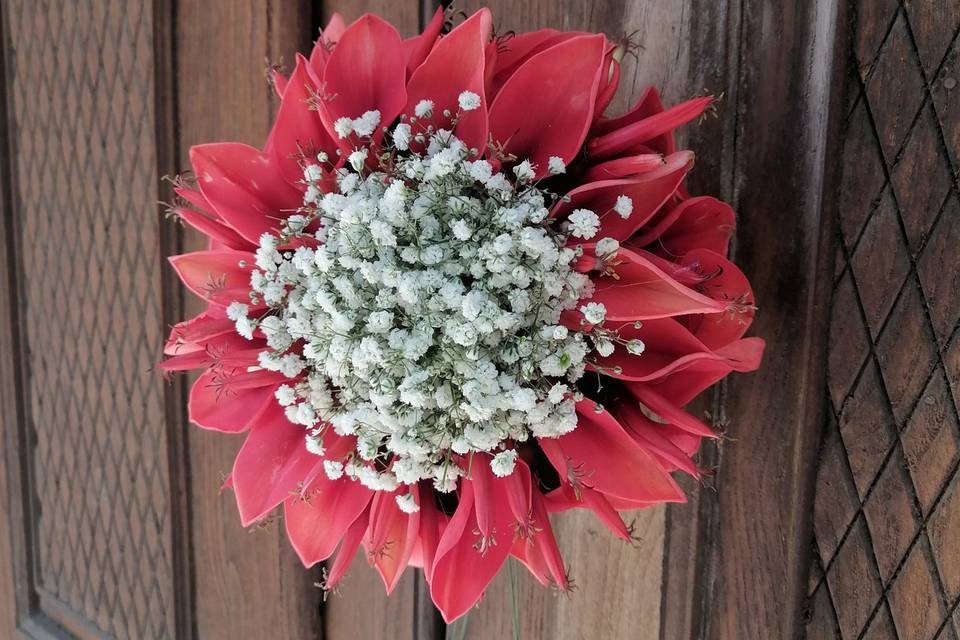 Bouquet corallo
