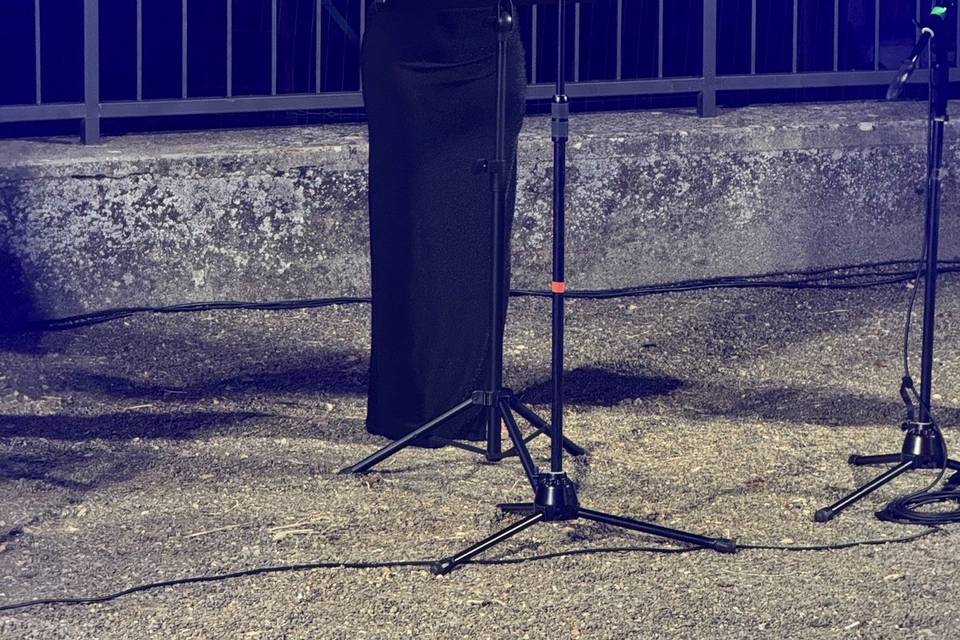 Concerto 🎙️🎶