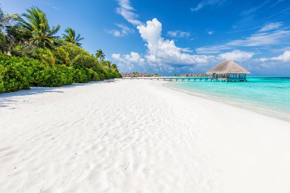 Maldives beach