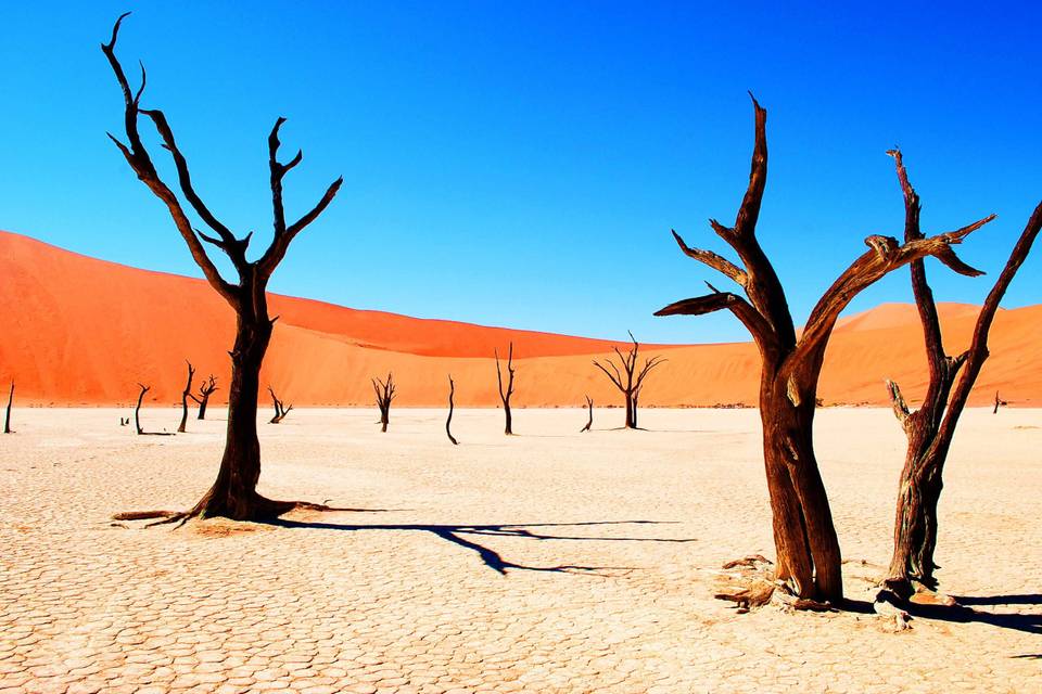 Deserto del Namib