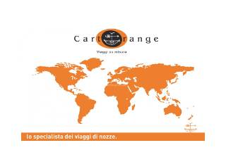 CartOrange logo