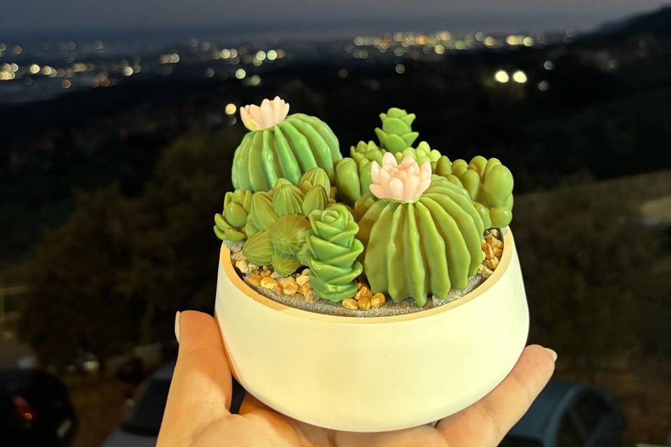 Cactus