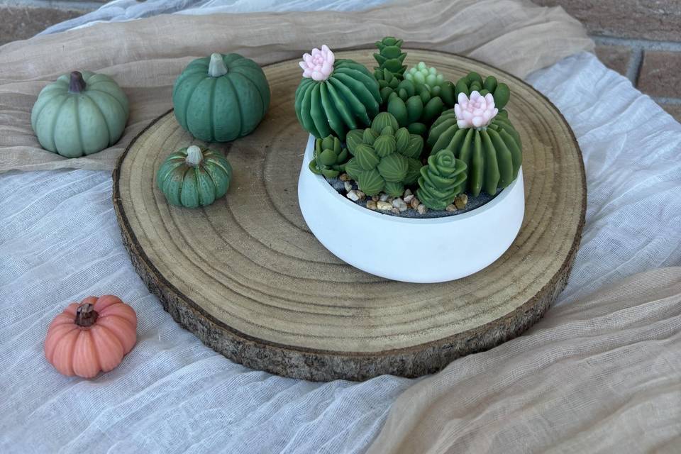 Cactus