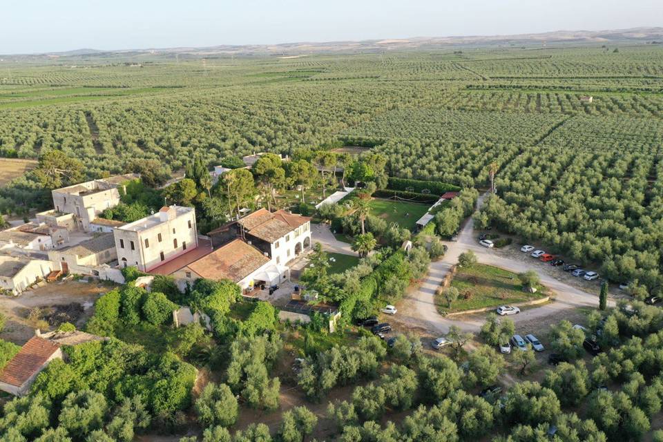 Tenuta Leonetti