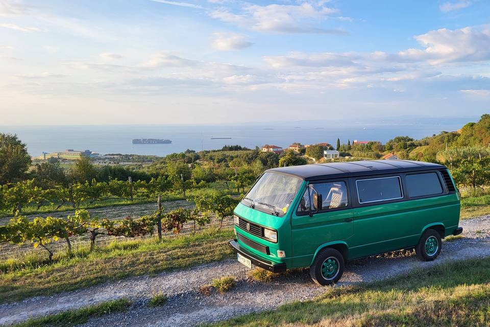 Volkswagen Type 2 T3 (1979)