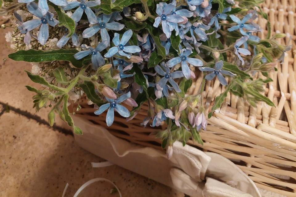 Bouquet