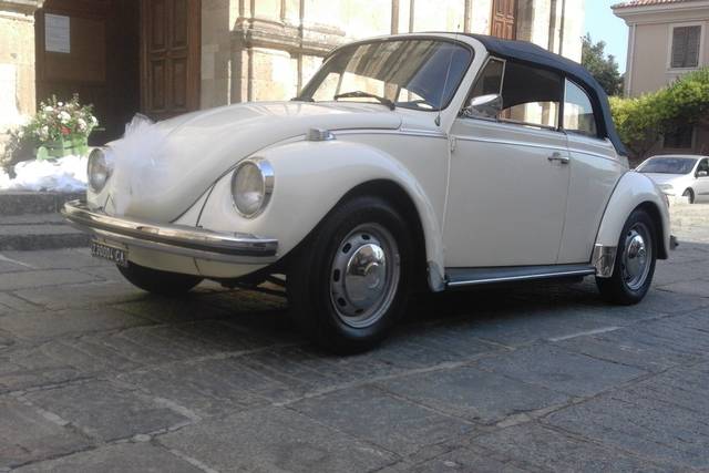 Volkswagen maggiolone cabrio