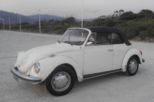Giovanni Mungo - Volkswagen