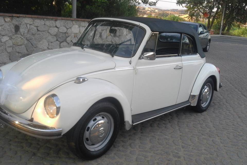 Volkswagen maggiolone cabrio