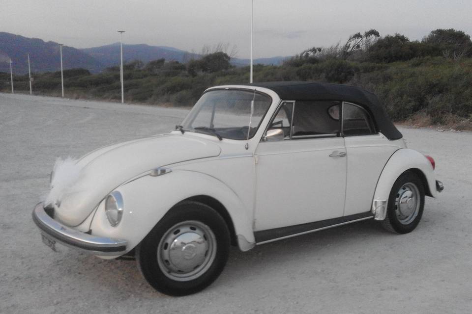 Giovanni Mungo - Volkswagen