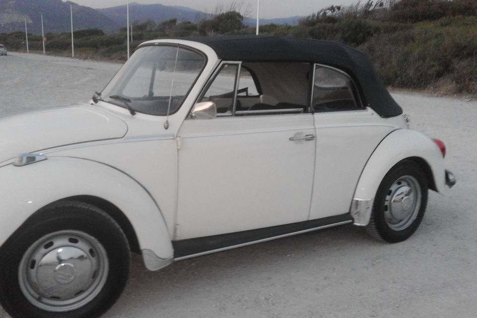 Volkswagen maggiolone cabrio