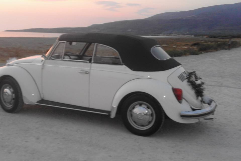 Volkswagen maggiolone cabrio