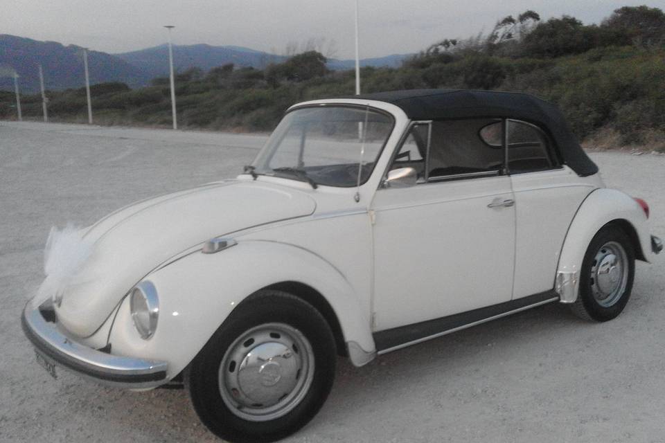 Volkswagen maggiolone cabrio