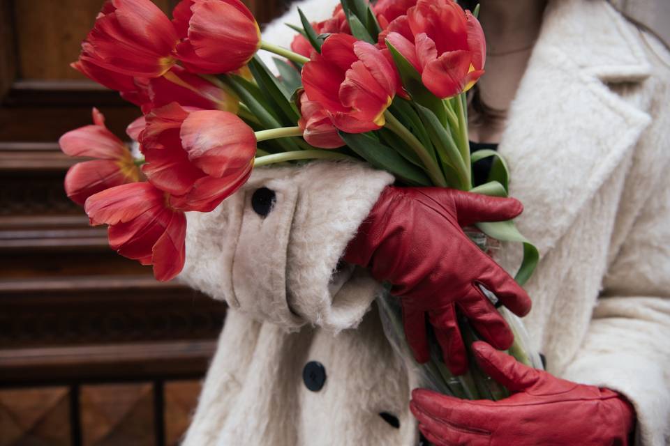 Tulips