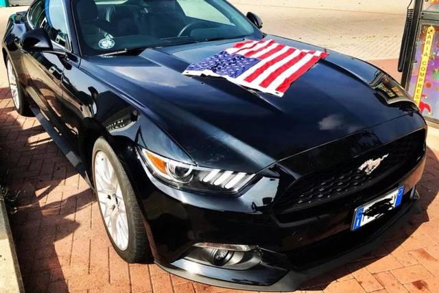 Semplicemente Mustang USA