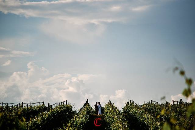 Vigna in Toscana