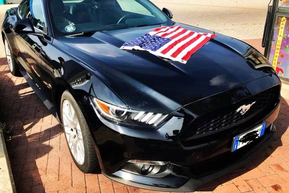 Semplicemente Mustang USA