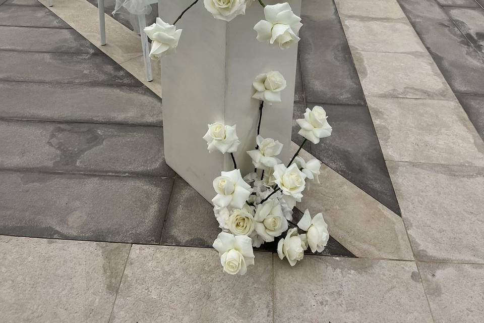 White roses