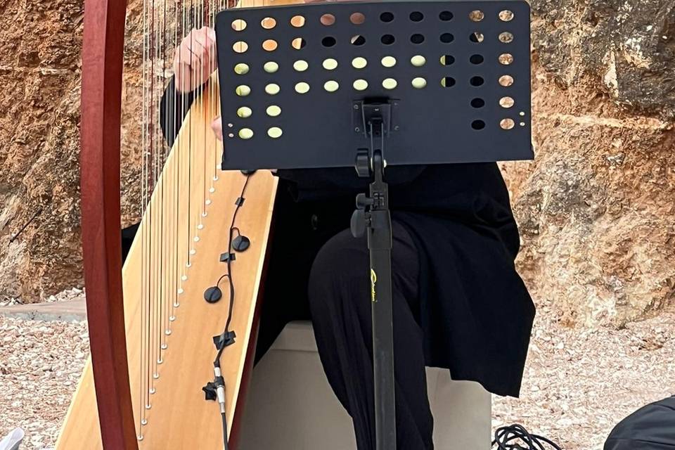 Concerto in cava orto botanico