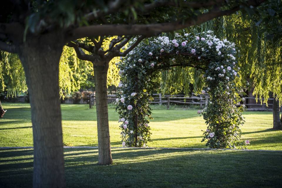 Arco di rose