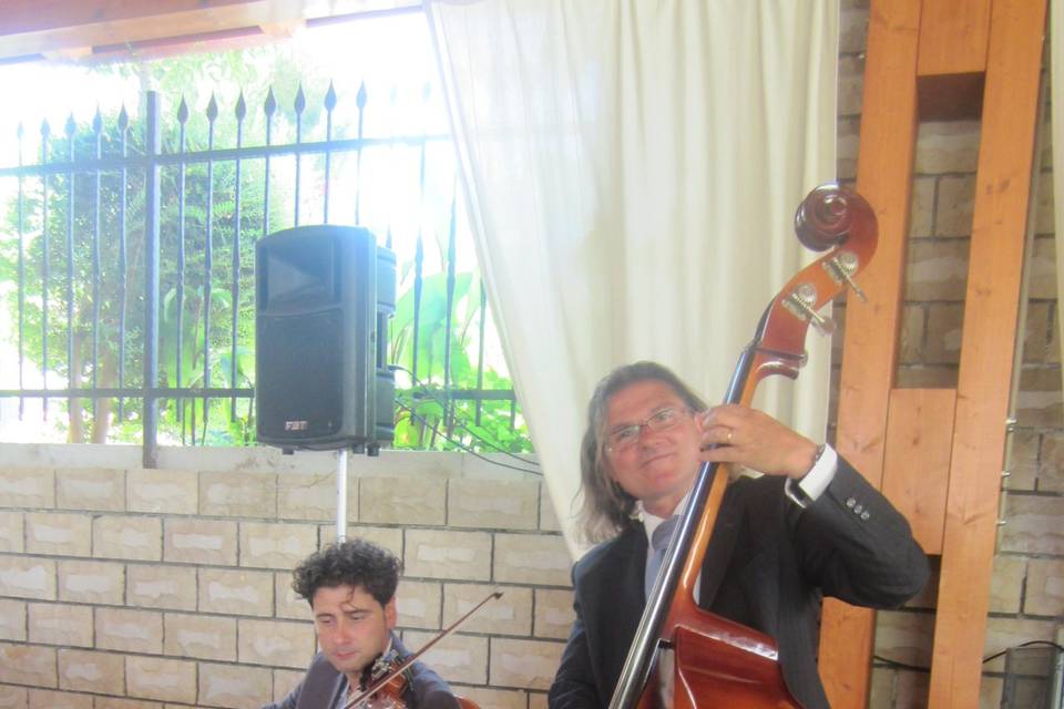 Contrabasso+violino