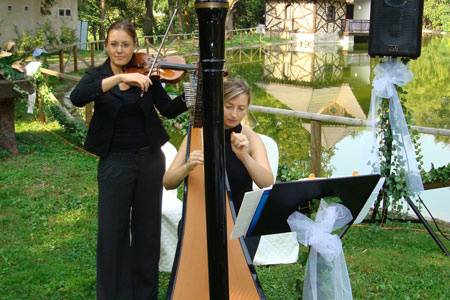 Arpa Classica e Violino