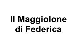 Il Maggiolone di Federica