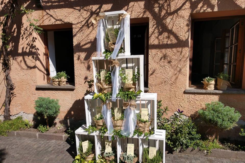 Tableau con aromatiche