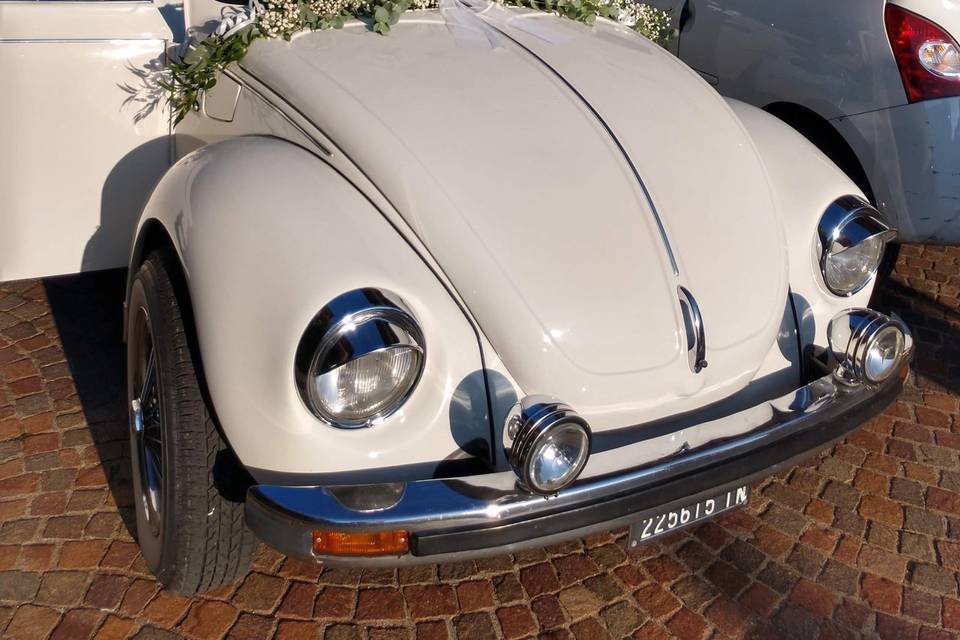 Decorazione auto