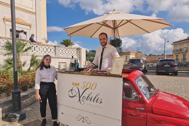 500 Nobilis cocktailcatering