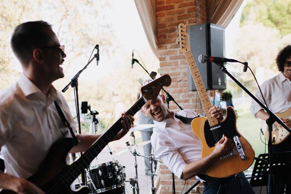 The Procaccinis