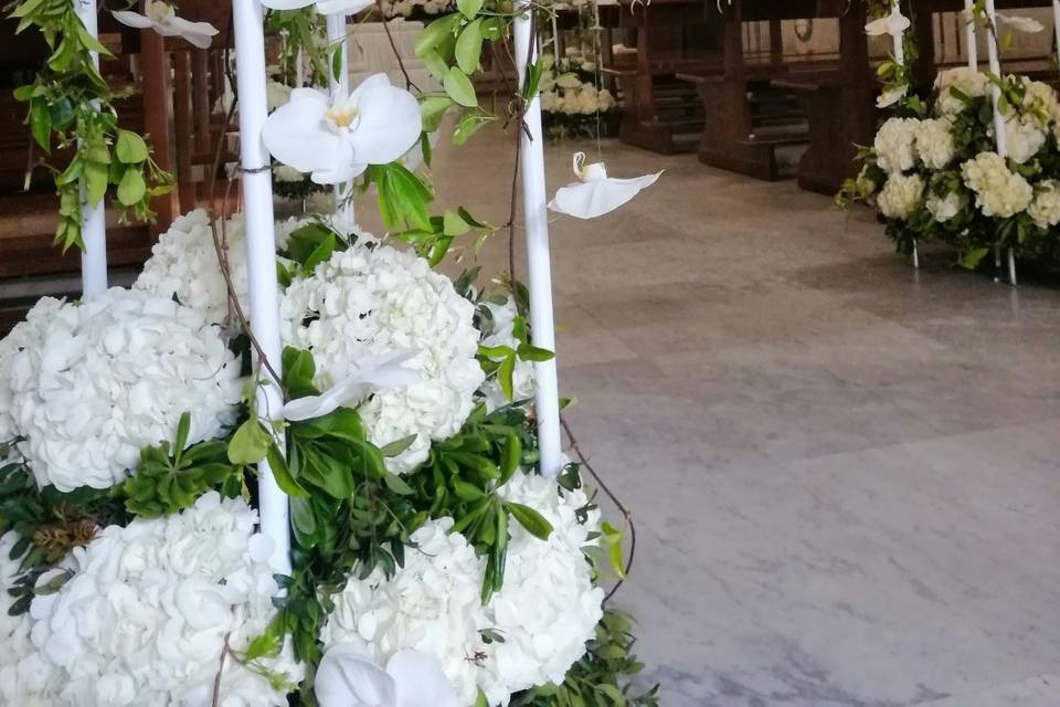 Orchidee per matrimonio