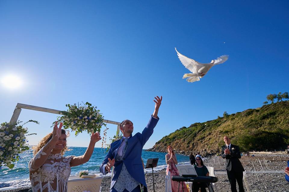 Volo delle colombe