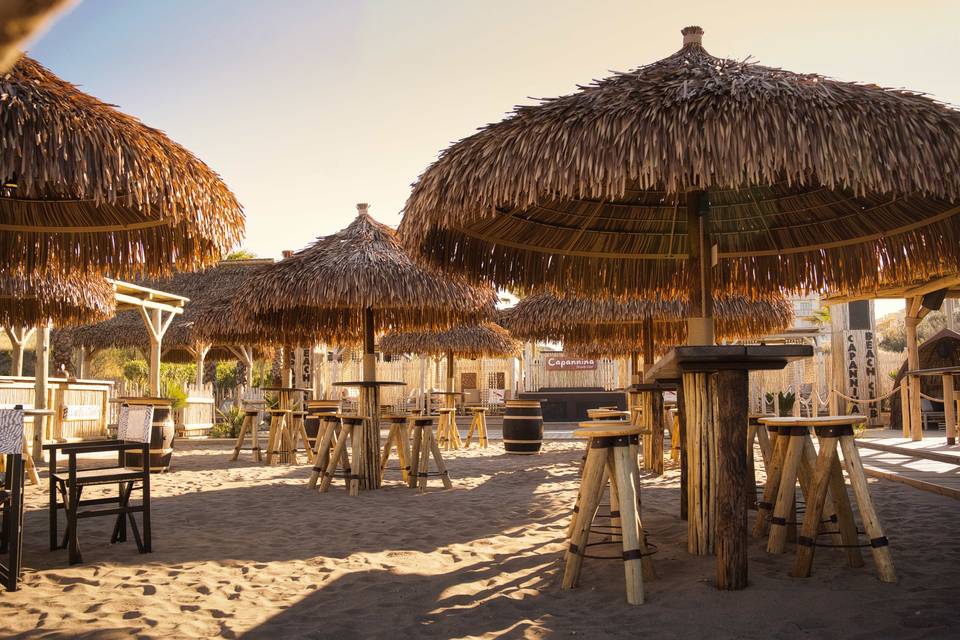 Beach Club Area