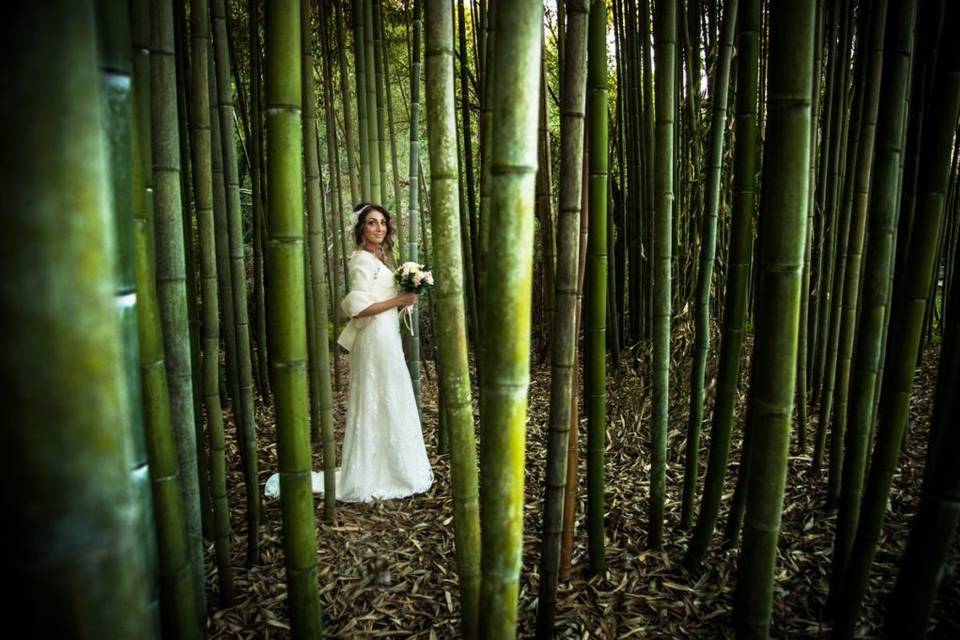 Bride in bamboo forest