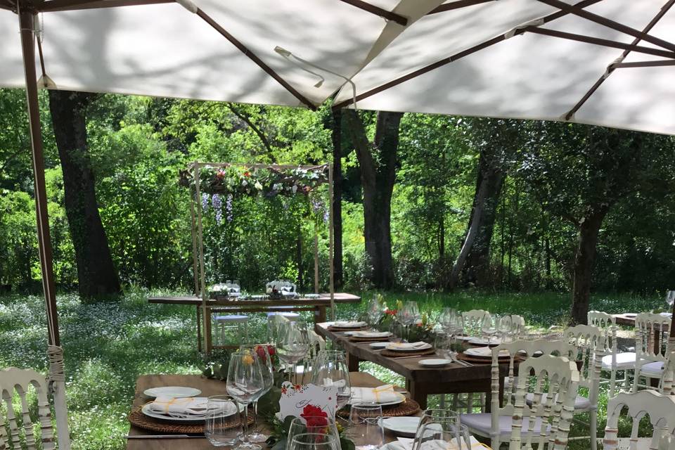 Natural Chic Events