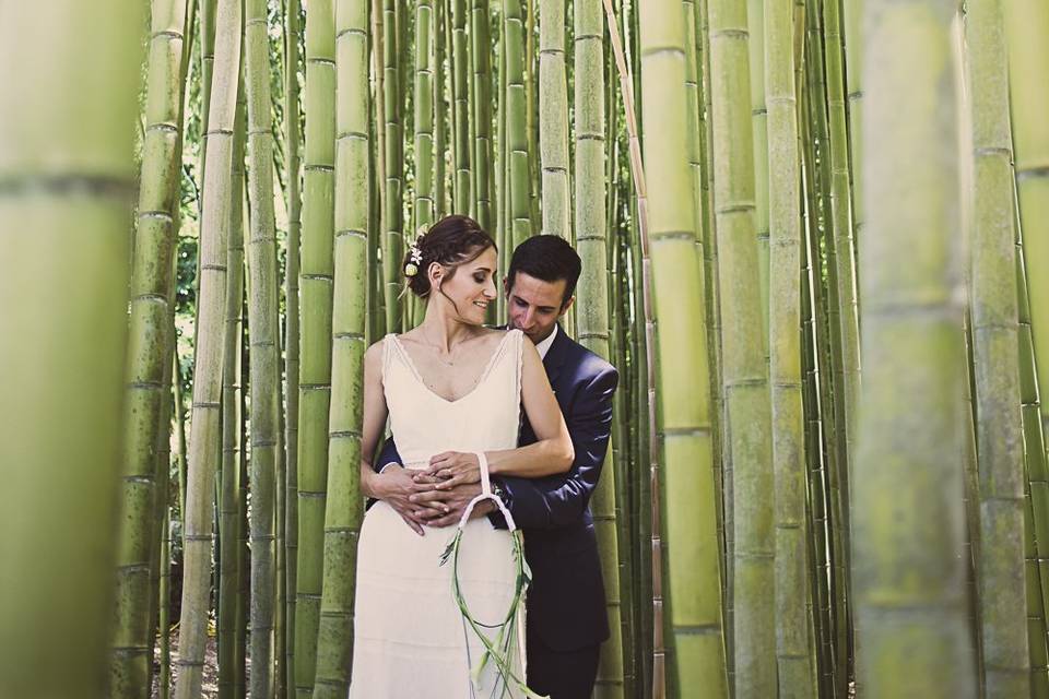 Love in bamboo forest