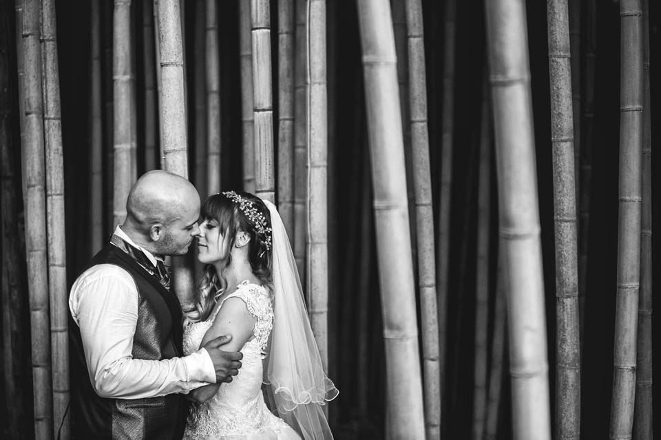 Love in bamboo forest