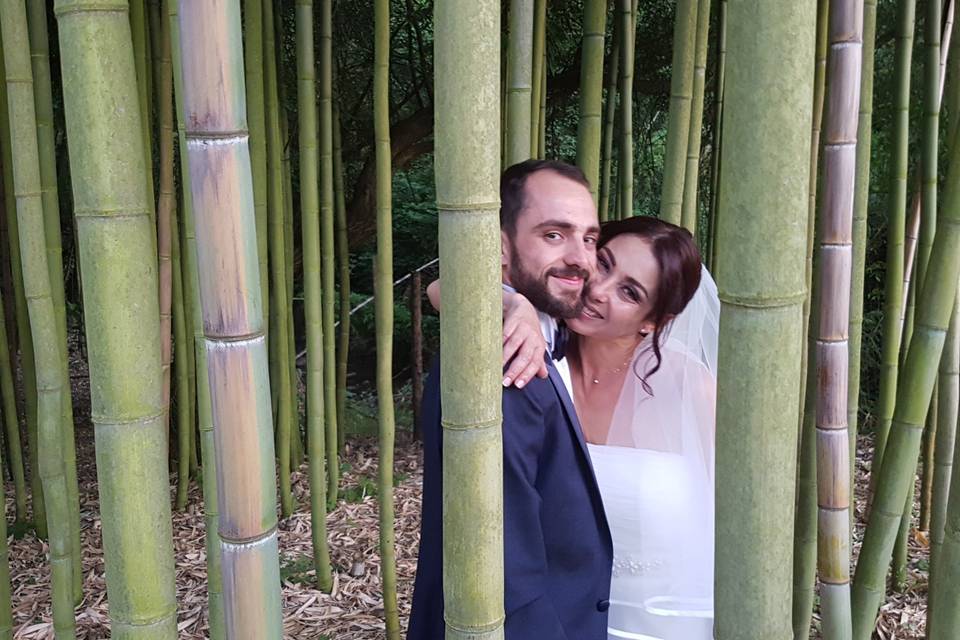 Love in bamboo forest