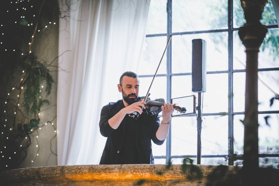 Andrea Bianco Violino 2