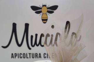 Mucciolo - Apicoltura Cilentana